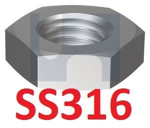 Metric SS316 Hex Lock Nuts